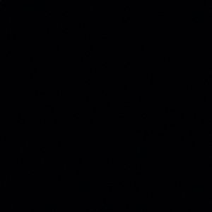 Meet your Posher, Sofia